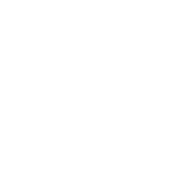 Hyundai Staria 4x4 VIP 6+1